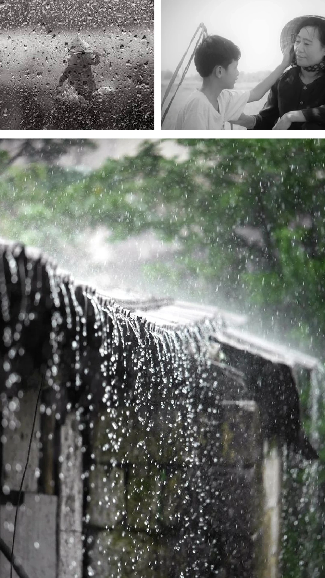 [E-Magazine]: Những ô cửa lắng đầy ký ức