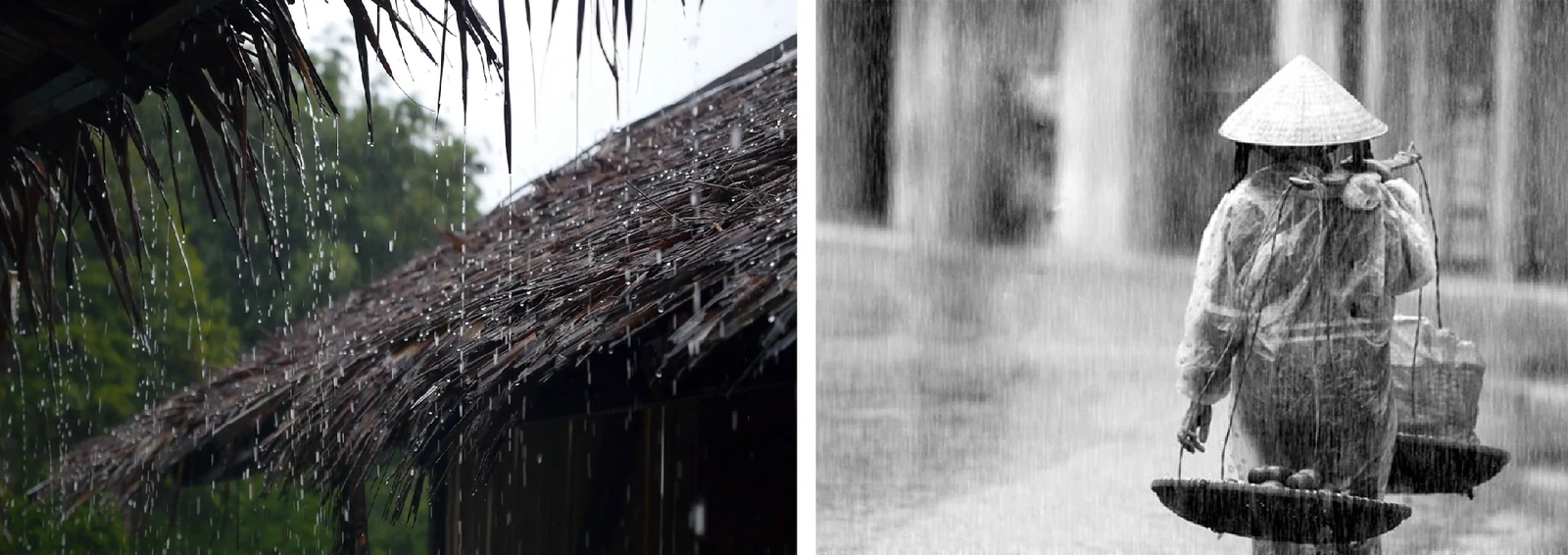 [E-Magazine]: Những ô cửa lắng đầy ký ức