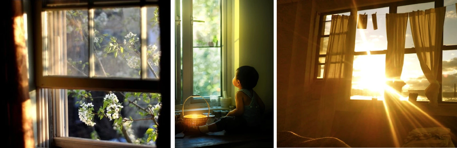 [E-Magazine]: Những ô cửa lắng đầy ký ức