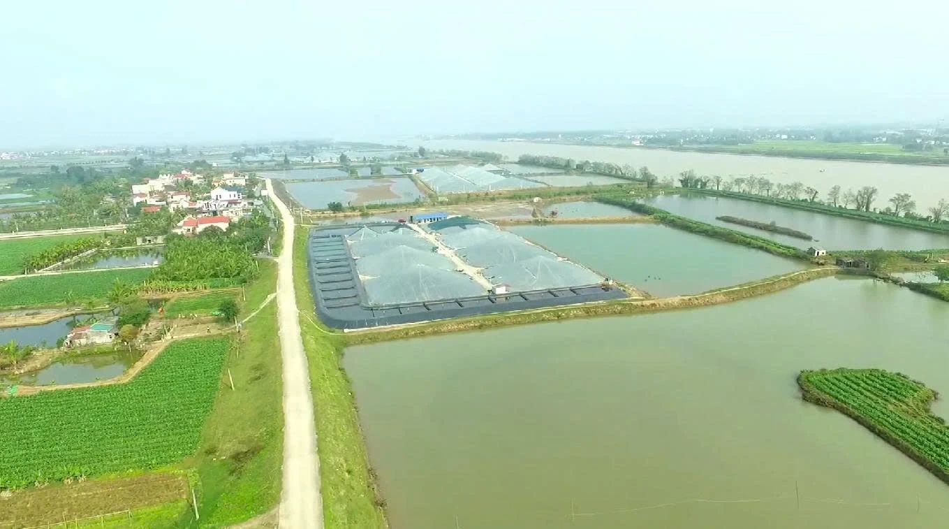 Hoằng Lộc – Khát vọng vươn tầm: Từ quyết tâm xây dựng xã nông thôn mới nâng cao đến vươn lên thành đô thị văn minh, giàu bản sắc và hạnh phúc