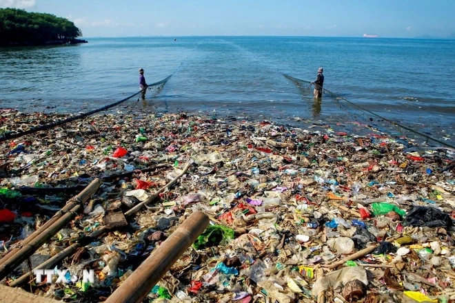 Ngày Quốc tế Thanh niên 2025: Sức trẻ hành động vì phát triển bền vững