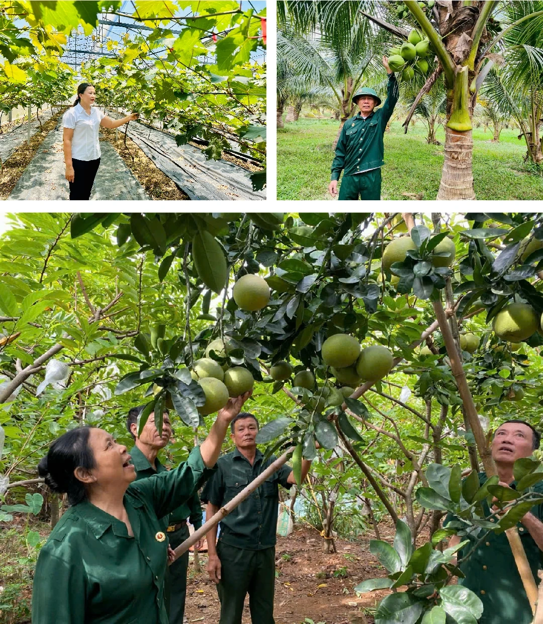 Trung Chính vững bước vươn mình
