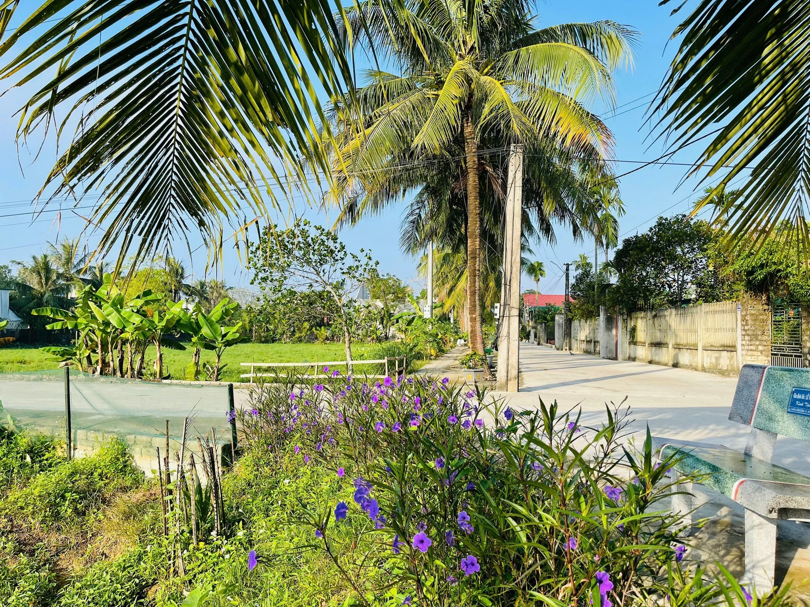 Trung Chính vững bước vươn mình