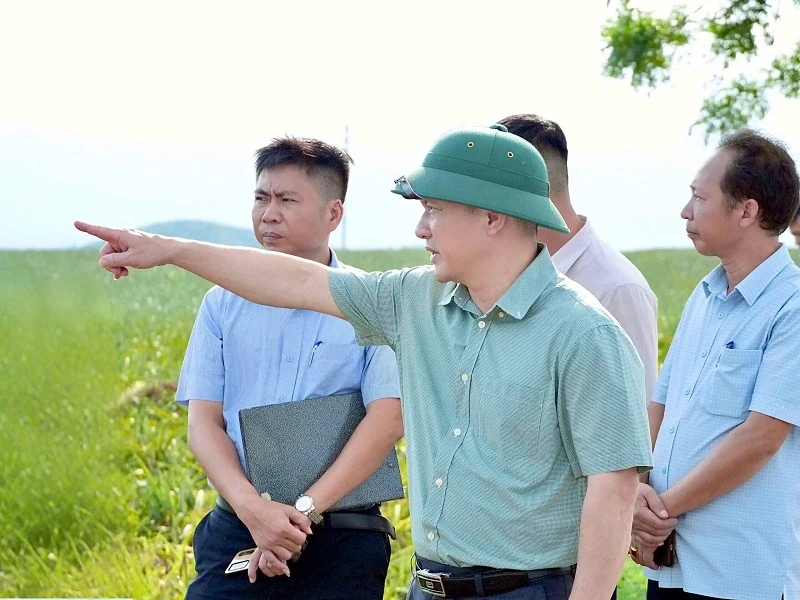 Xử lý ngay những vướng mắc, khó khăn, mục tiêu cao nhất đưa các dự án điện về đích đúng tiến độ