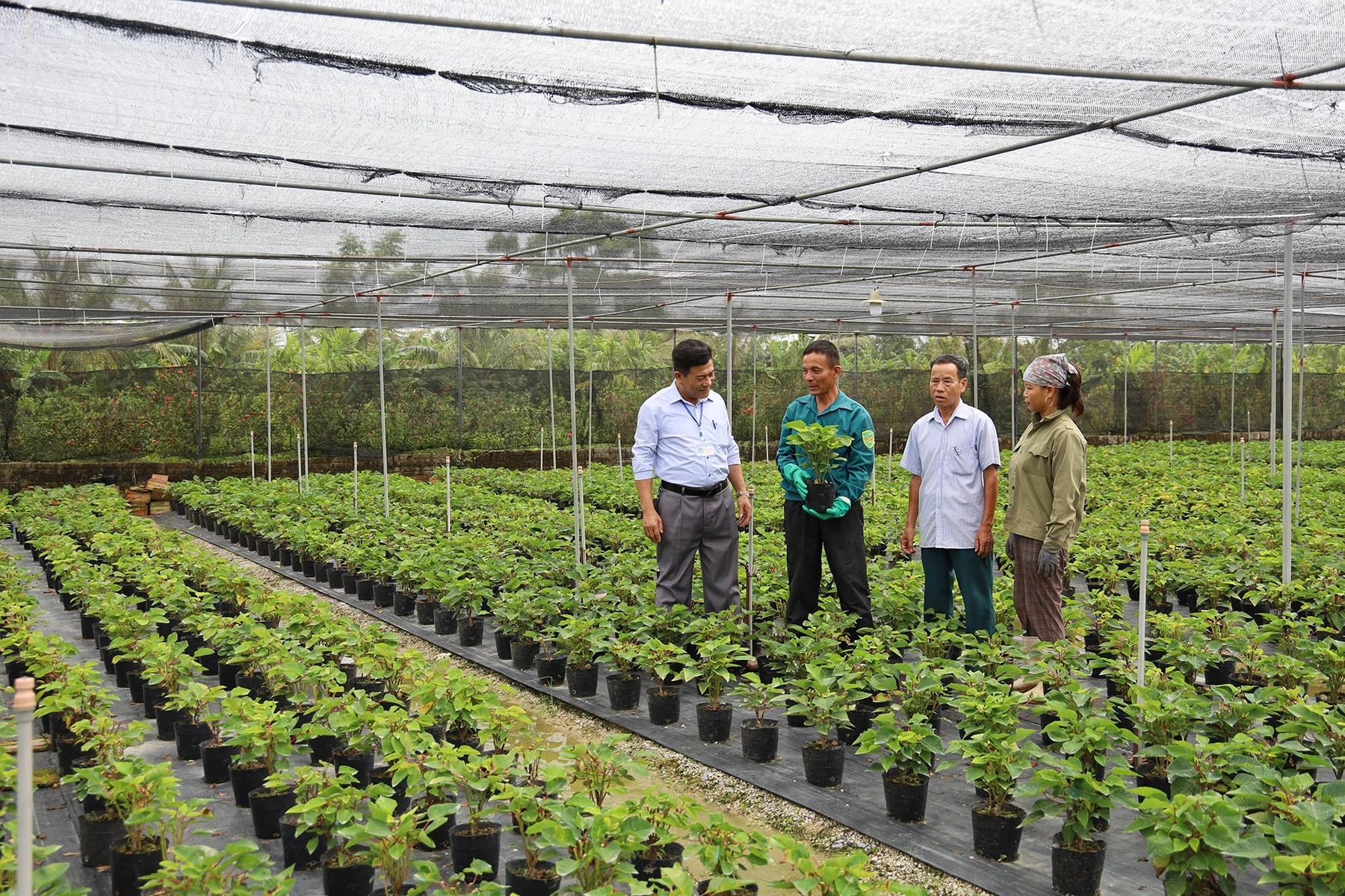 Xây dựng An Nông thành xã khá của tỉnh, từng bước hướng tới “vùng quê đáng sống”