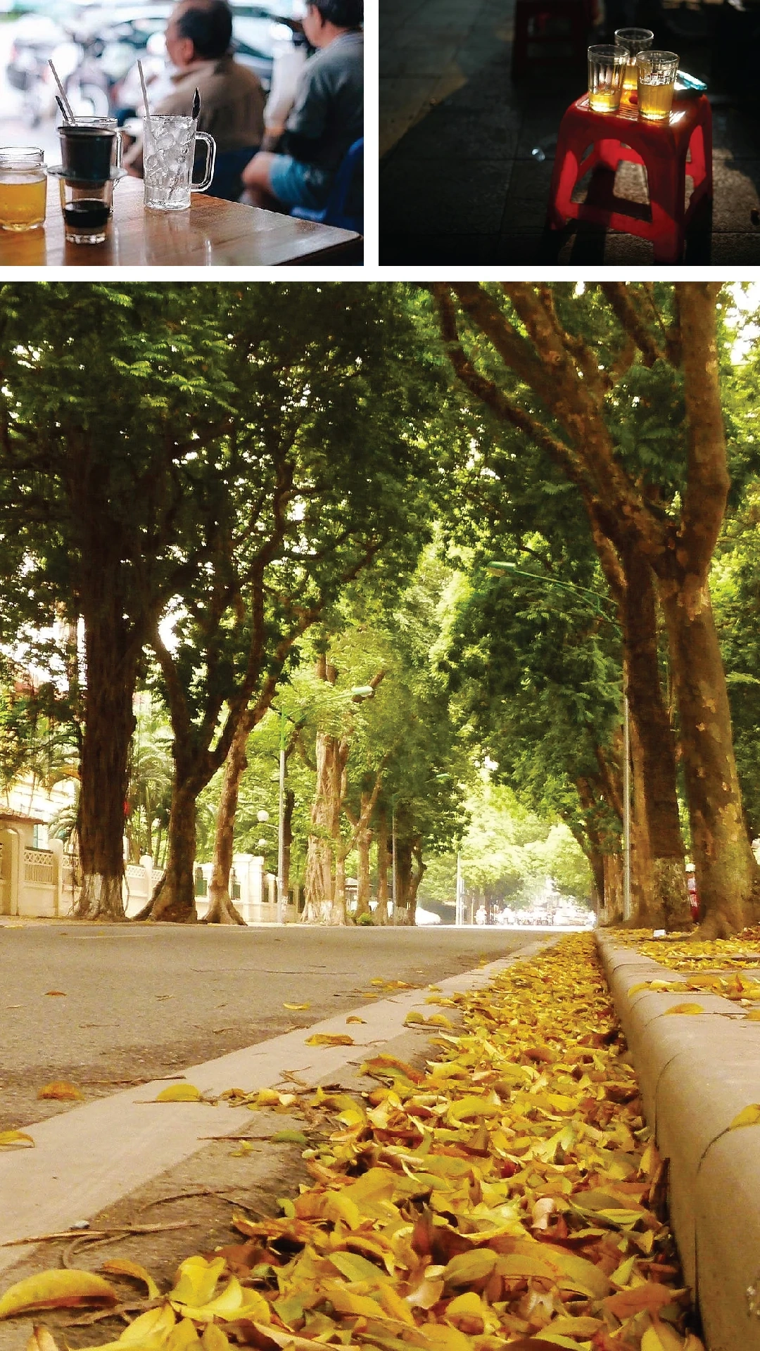 [E-Magazine]: Nơi ấy đắm say đến ngẩn ngơ lòng
