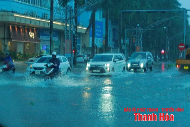 Nhiều tuyến đường bị ngập lụt cục bộ, cây xanh gãy đổ