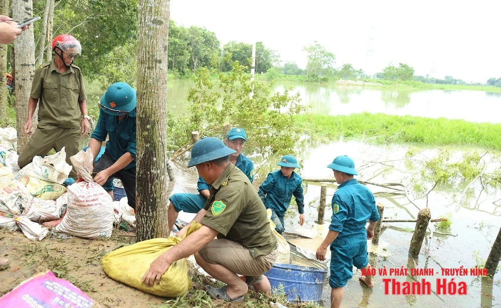 Chủ tịch UBND tỉnh Đỗ Minh Tuấn kiểm tra, chỉ đạo khắc phục sự cố đê tại xã Triệu Sơn