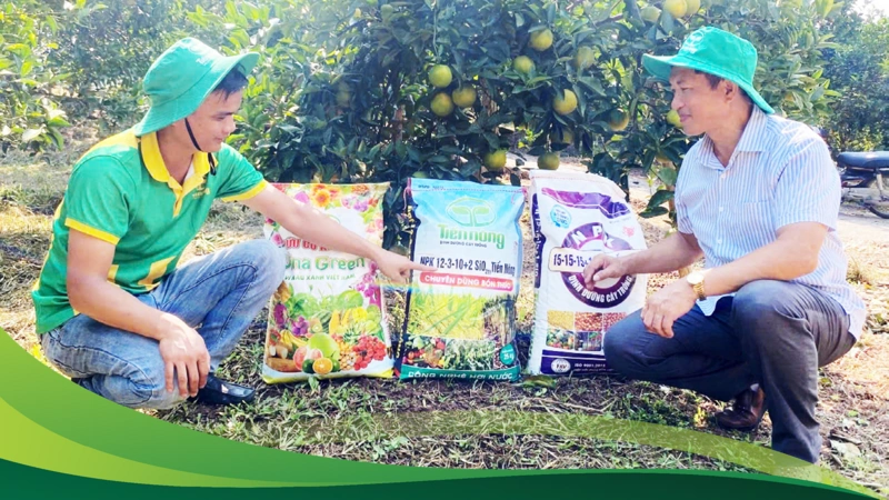 Cơ chế sandbox: Hành lang pháp lý mới cho hoạt động đổi mới sáng tạo