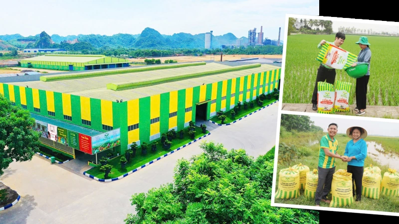 Cơ chế sandbox: Hành lang pháp lý mới cho hoạt động đổi mới sáng tạo