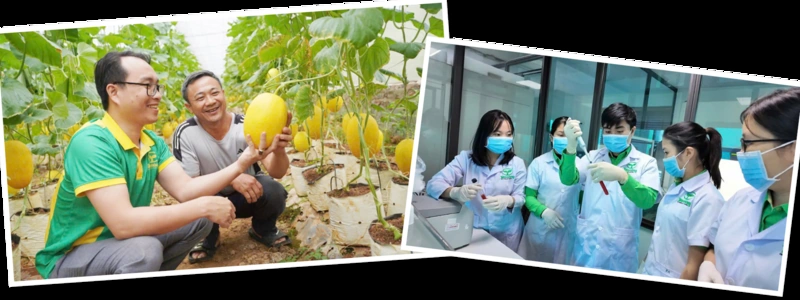 Cơ chế sandbox: Hành lang pháp lý mới cho hoạt động đổi mới sáng tạo