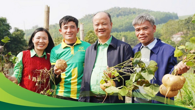 Cơ chế sandbox: Hành lang pháp lý mới cho hoạt động đổi mới sáng tạo