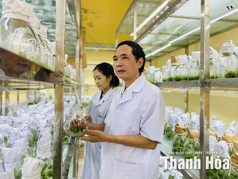 Từ phòng thí nghiệm đến các mô hình, sản phẩm thực tế