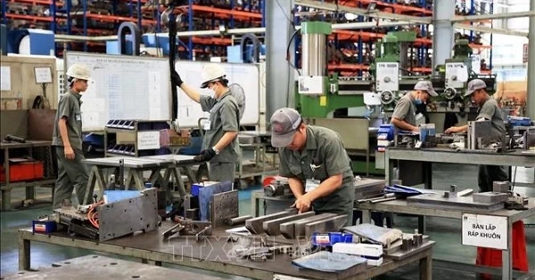 Tổng điều tra kinh tế trên toàn quốc từ 5/1/2026