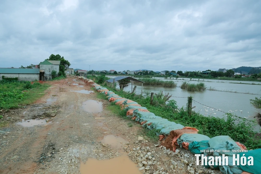 Phó Bí thư Tỉnh ủy Trịnh Tuấn Sinh kiểm tra công tác ứng phó bão tại các tuyến đê xung yếu