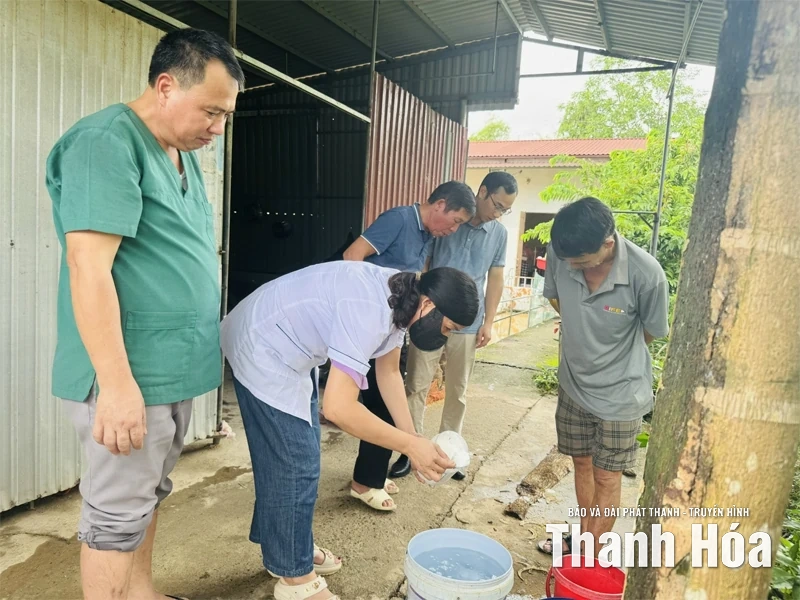 Chủ động phòng, chống dịch bệnh