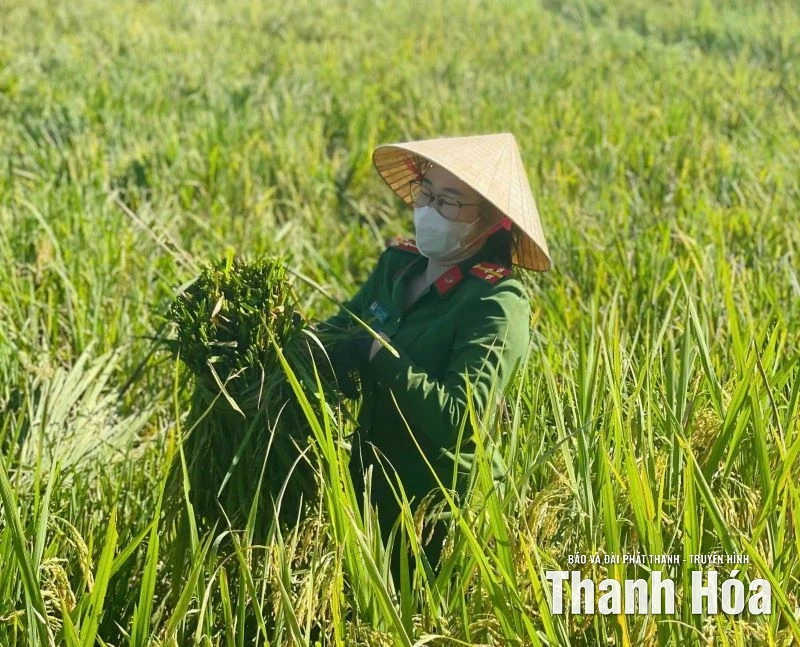 Đoàn viên thanh niên hỗ trợ người dân chống bão số 10