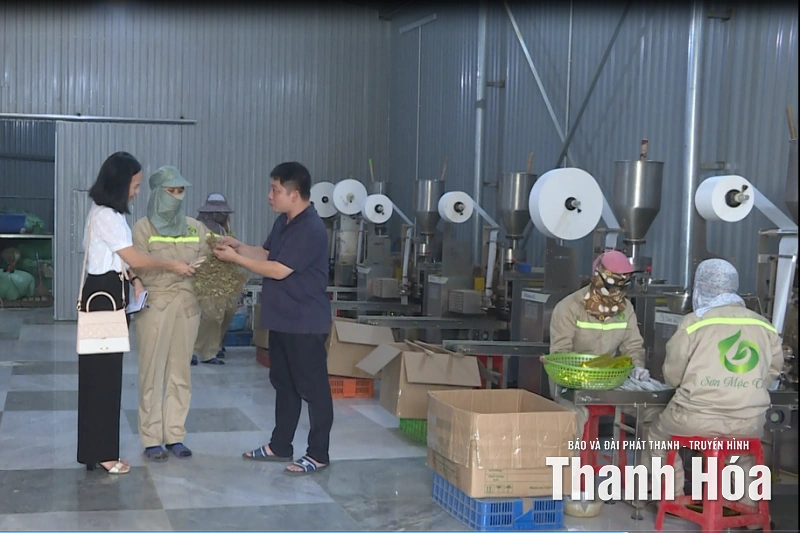 Nâng tầm sản phẩm Ocop để xuất khẩu