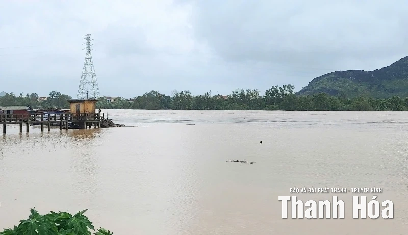 Lũ trên sông Mã lên cao, x ã Yên Trường di dời các hộ dân ở ngoại đê