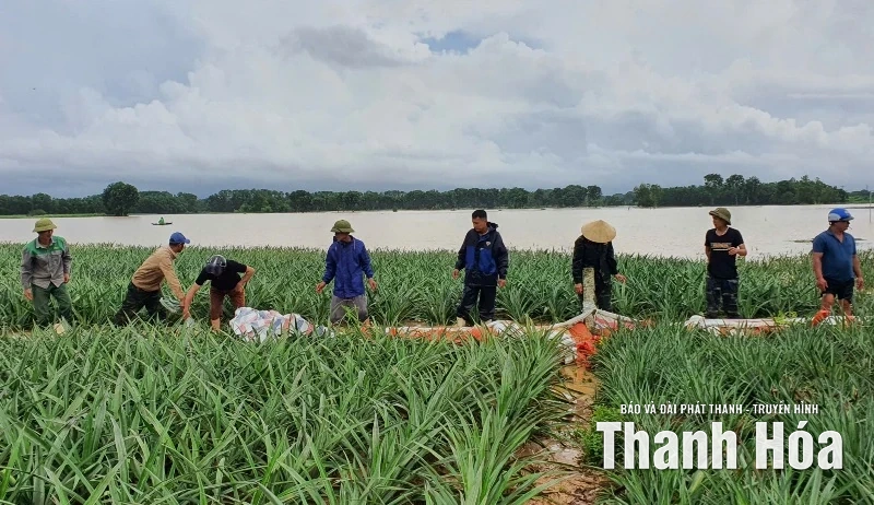 Xã Yên Phú: tập trung khắc phục hậu quả sau mưa bão số 10