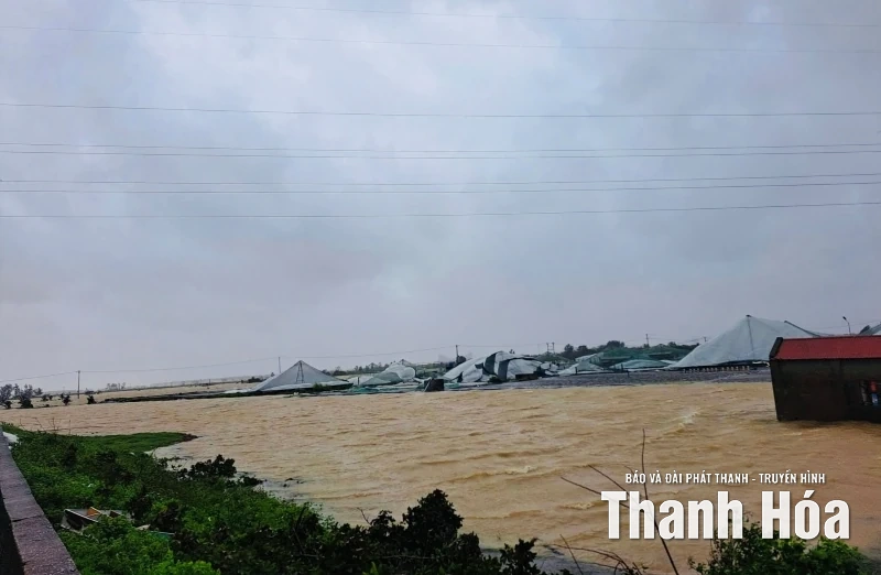 [Cập nhật] Mưa lớn kéo dài gây thiệt hại tại nhiều địa phương trong tỉnh