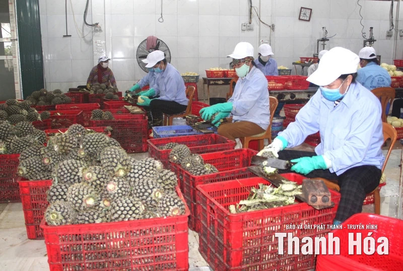 Phát huy nền tảng sẵn có, Thắng Lợi XDNTM nâng cao
