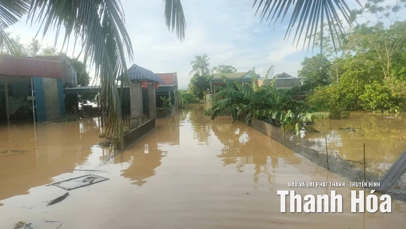Giữa đau thương càng thấm thía sự yêu thương