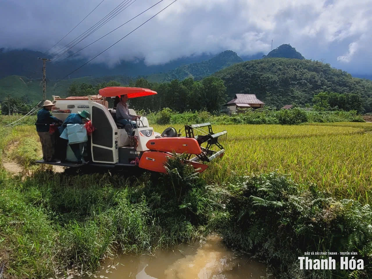Nông dân xã Thanh Quân “cứu” lúa sau bão
