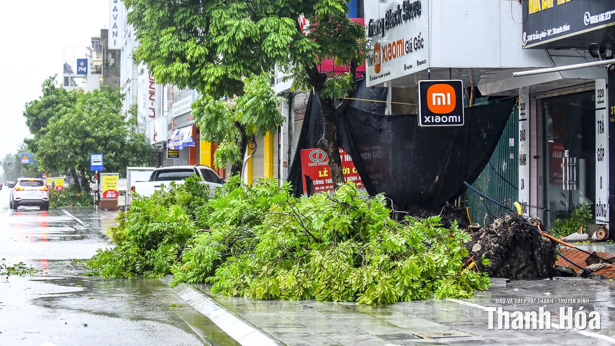 Nhiều phố phường của Thanh Hóa cây đổ chắn đường, nước ngập cục bộ do ảnh hưởng của mưa bão