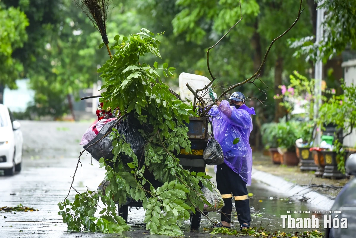 Nhiều phố phường của Thanh Hóa cây đổ chắn đường, nước ngập cục bộ do ảnh hưởng của mưa bão