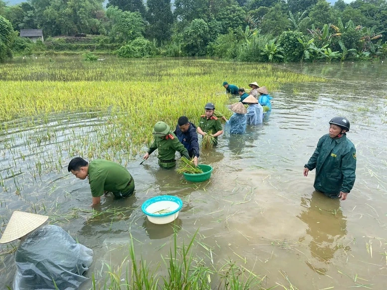 Thủ tướng yêu cầu phải thần tốc hơn nữa, huy động tối đa lực lượng khắc phục nhanh nhất hậu quả bão, mưa lũ