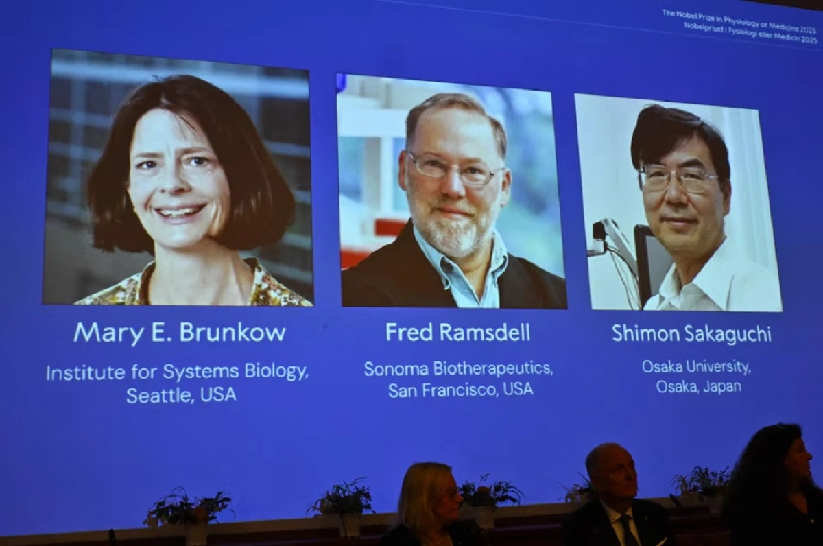Nobel Y học 2025 vinh danh công trình về dung nạp miễn dịch ngoại biên