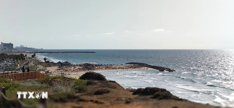 Israel: Đóng cửa bãi biển phía Bắc Tel Aviv sau khi phát hiện cá mập