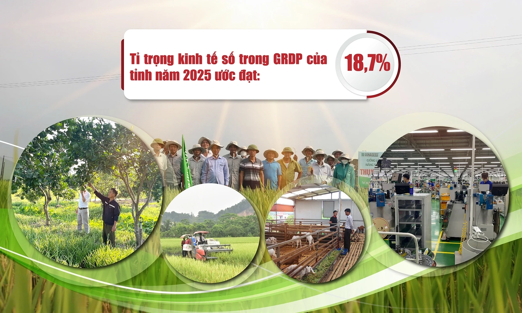 [E - Magazine] Thanh Hóa: Bước chuyển ngoạn mục về phát triển Kinh tế - Xã hội
