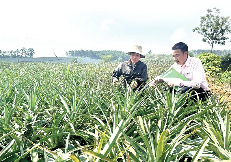 Khi an sinh đến gần dân hơn