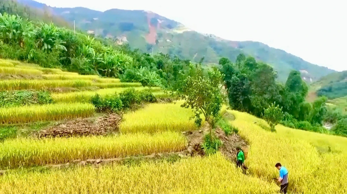 Đồng bào vùng cao hướng về Đại hội Đảng bộ tỉnh