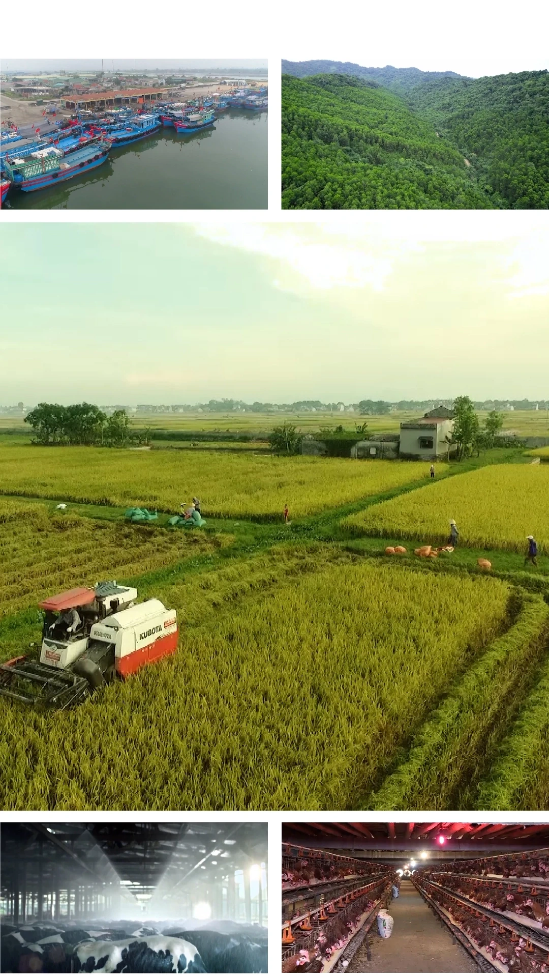 [E - Magazine] Nông nghiệp Thanh Hóa - Từ tiềm năng đến bứt phá