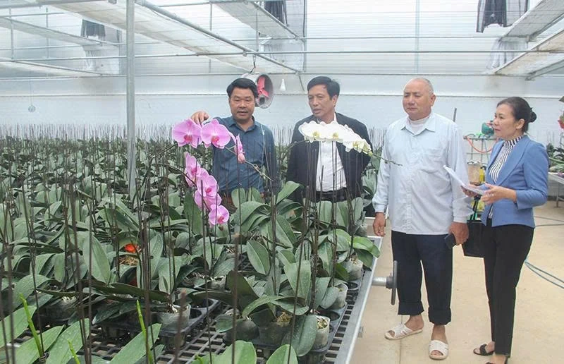 Người tiên phong ứng dụng nông nghiệp tuần hoàn