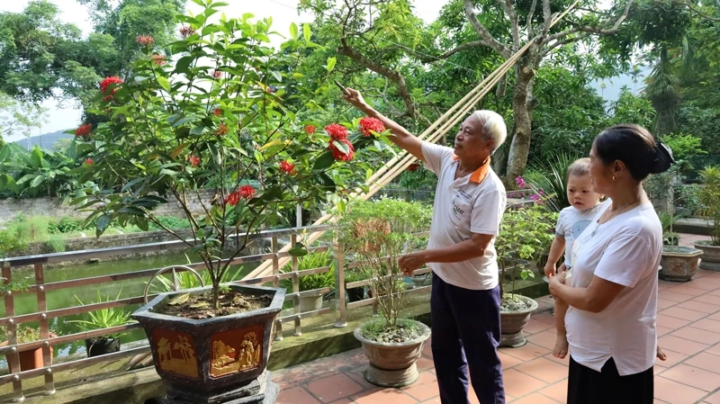 Gia đình Việt chuyển mình giữa truyền thống và hiện đại