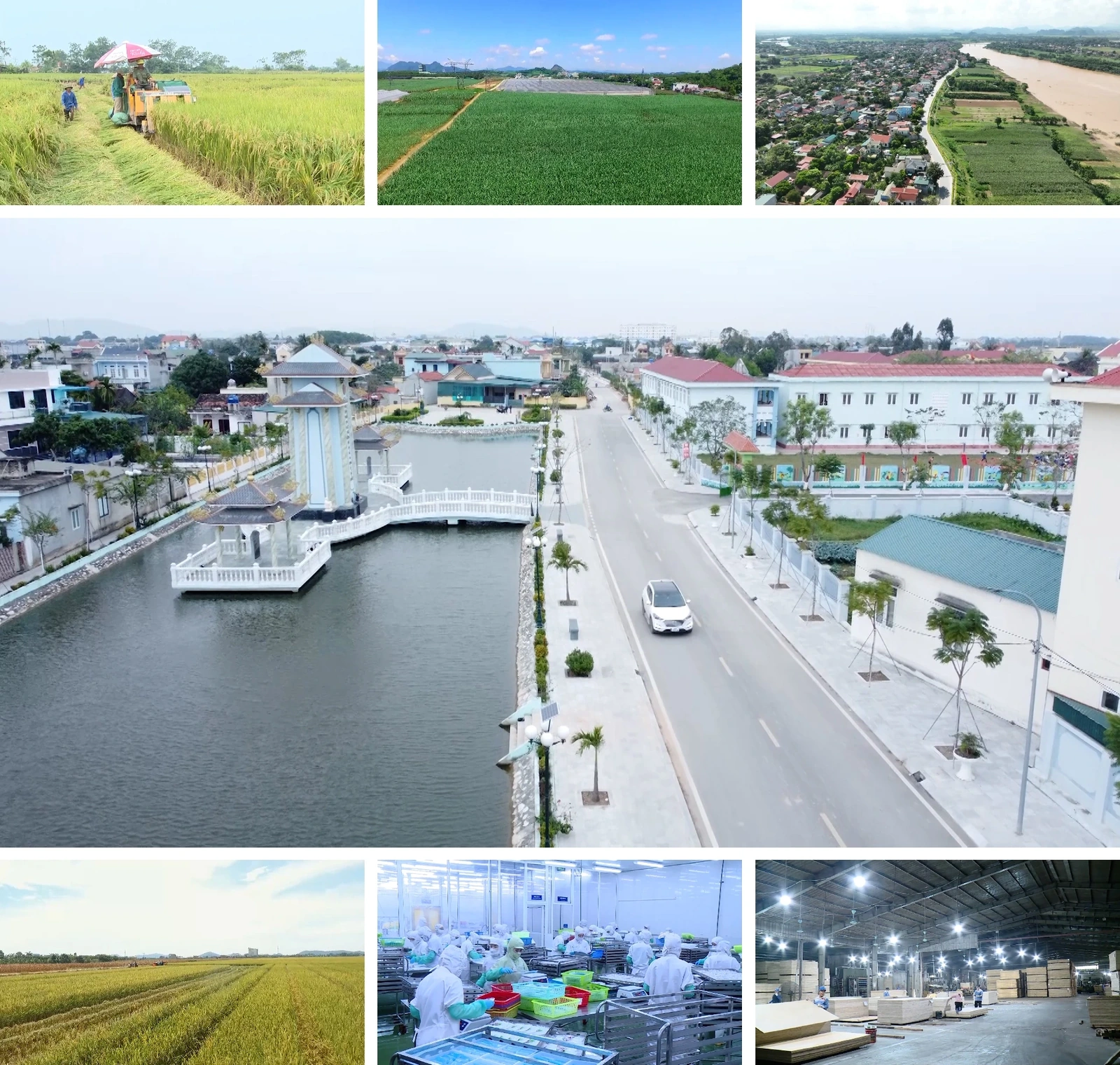 [E - Magazine] Nông nghiệp Thanh Hóa - Từ tiềm năng đến bứt phá