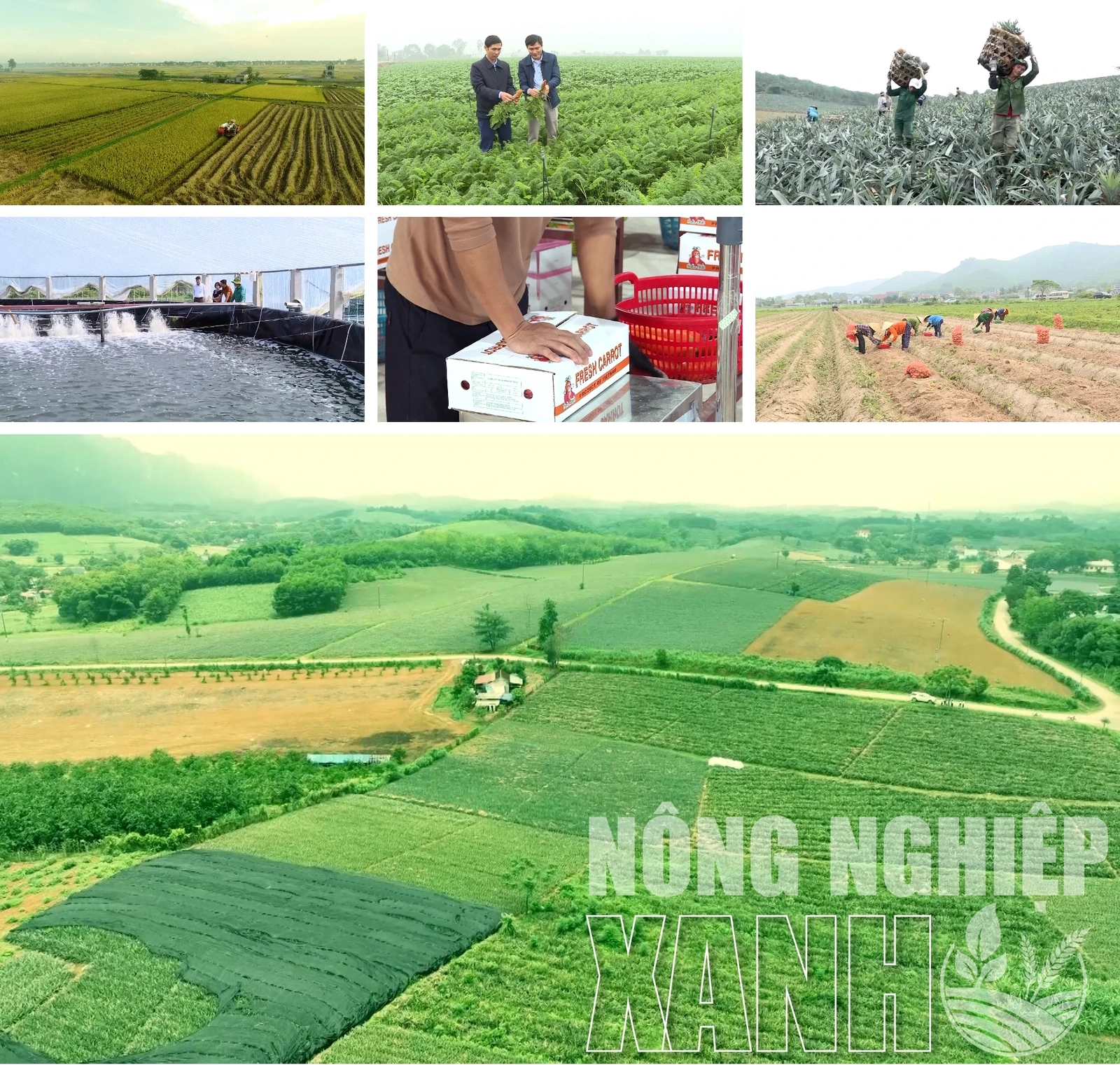 [E - Magazine] Nông nghiệp Thanh Hóa - Từ tiềm năng đến bứt phá