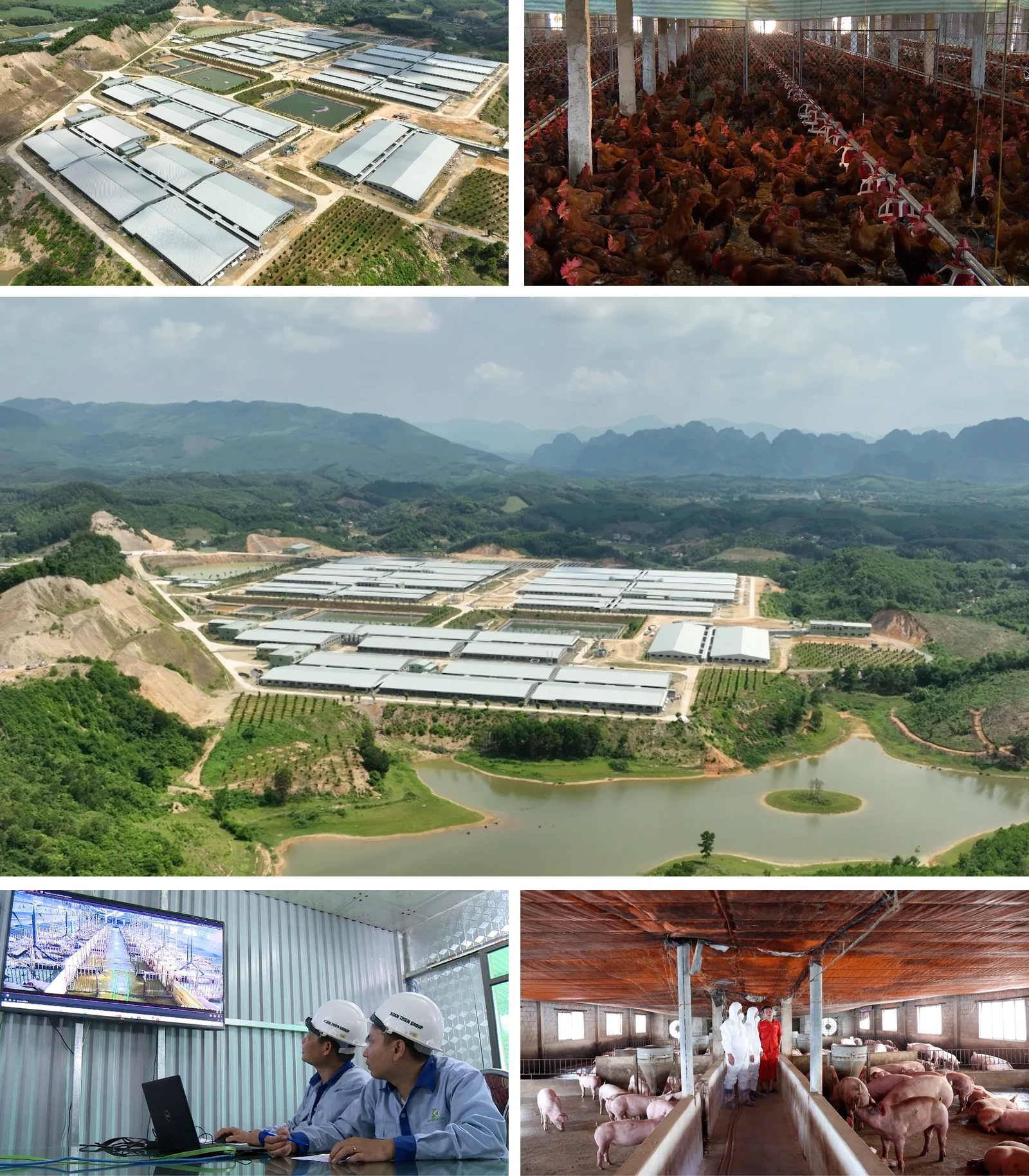 [E - Magazine] Nông nghiệp Thanh Hóa - Từ tiềm năng đến bứt phá