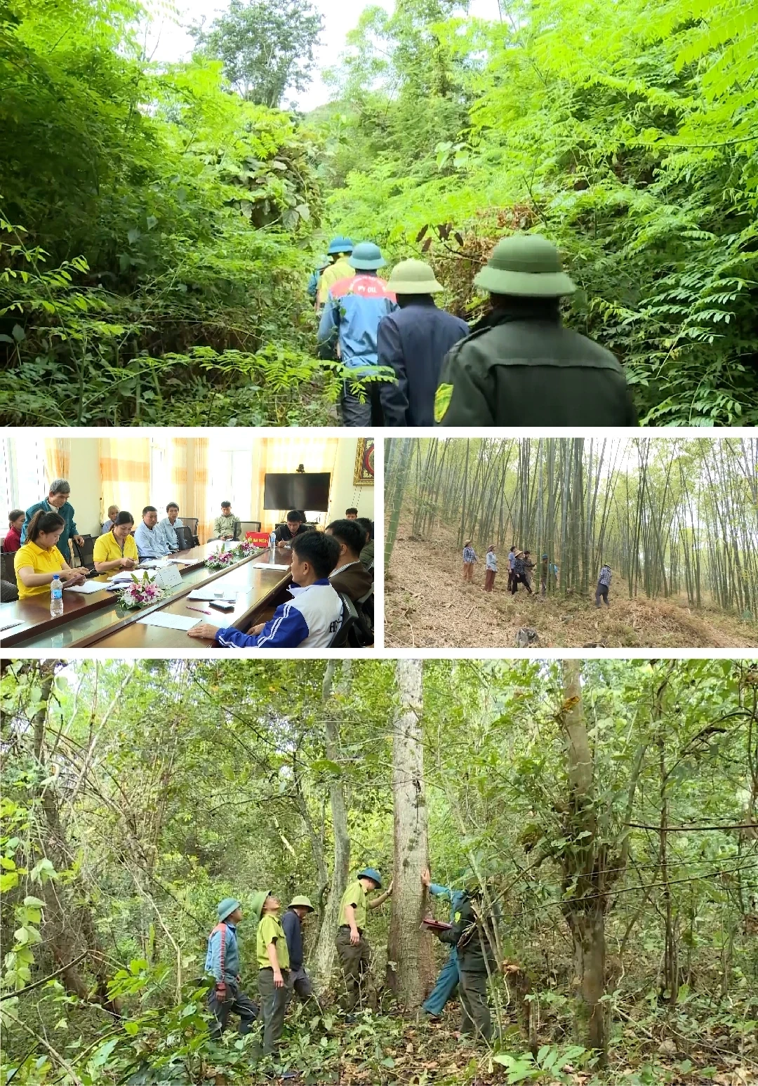 [E - Magazine] Nông nghiệp Thanh Hóa - Từ tiềm năng đến bứt phá