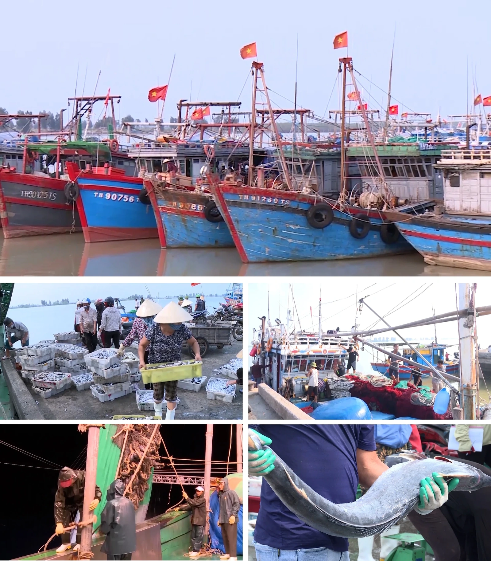 [E - Magazine] Nông nghiệp Thanh Hóa - Từ tiềm năng đến bứt phá