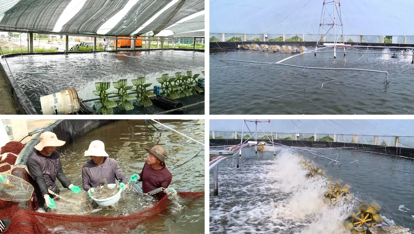 [E - Magazine] Nông nghiệp Thanh Hóa - Từ tiềm năng đến bứt phá