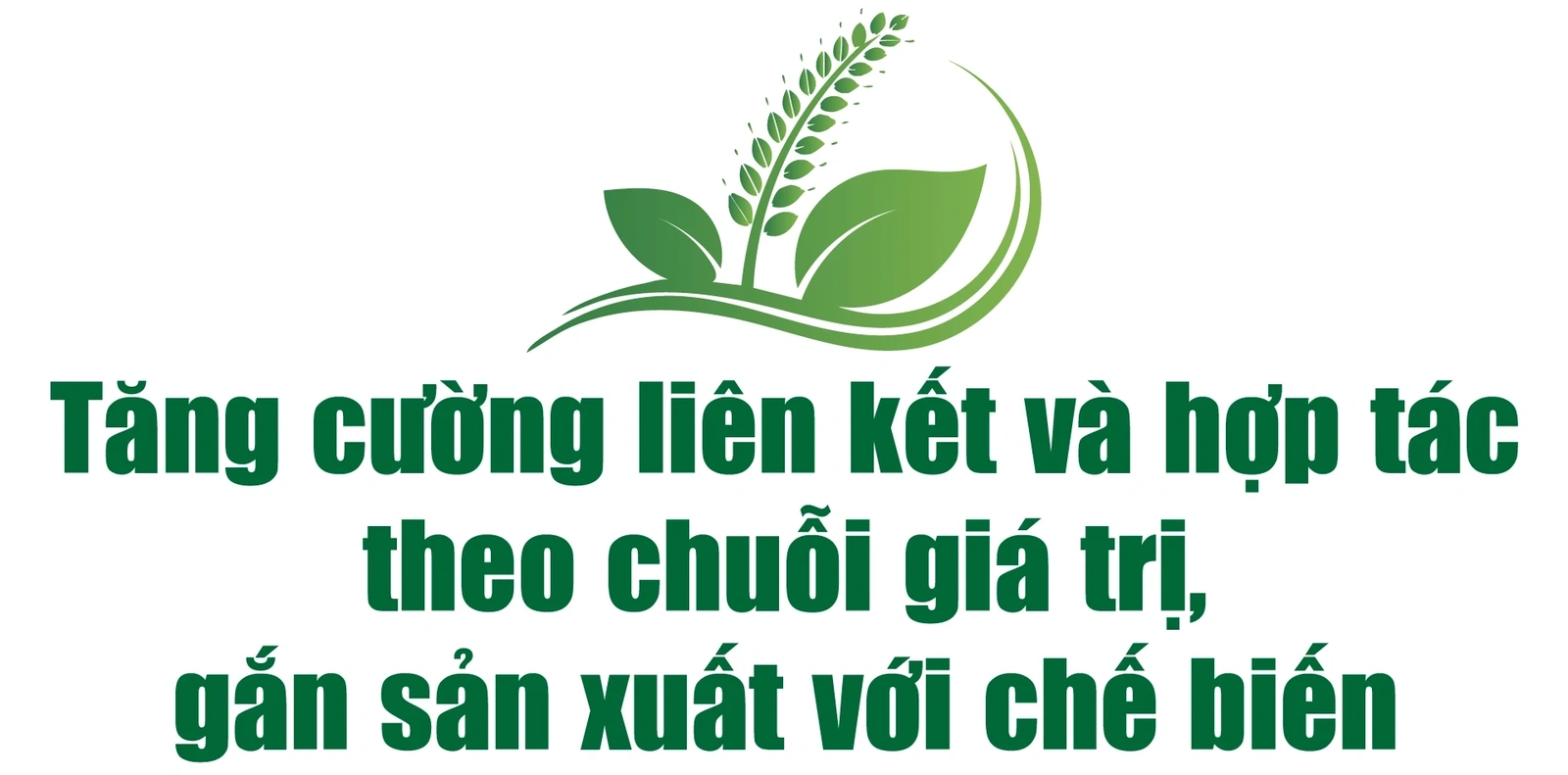 [E - Magazine] Nông nghiệp Thanh Hóa - Từ tiềm năng đến bứt phá