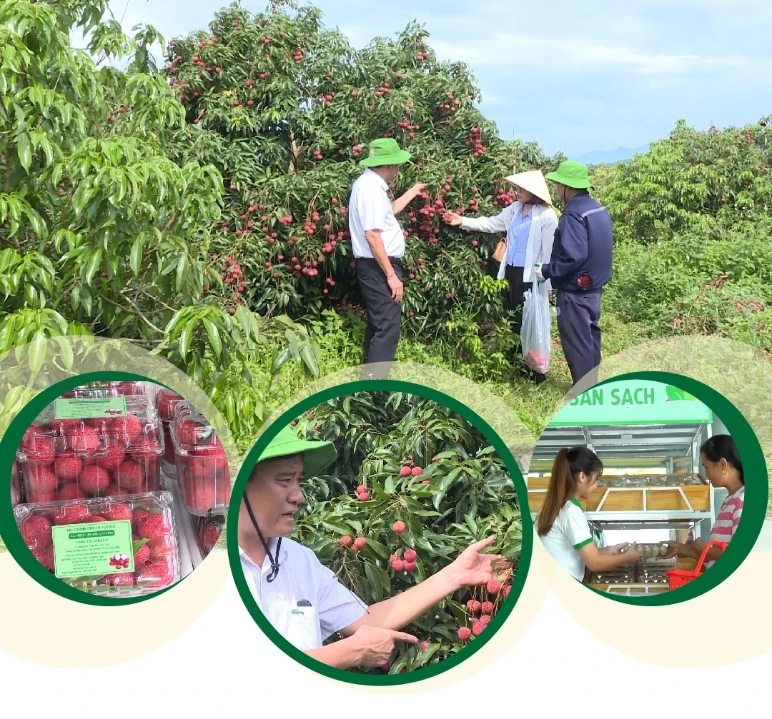 [E - Magazine] Nông nghiệp Thanh Hóa - Từ tiềm năng đến bứt phá