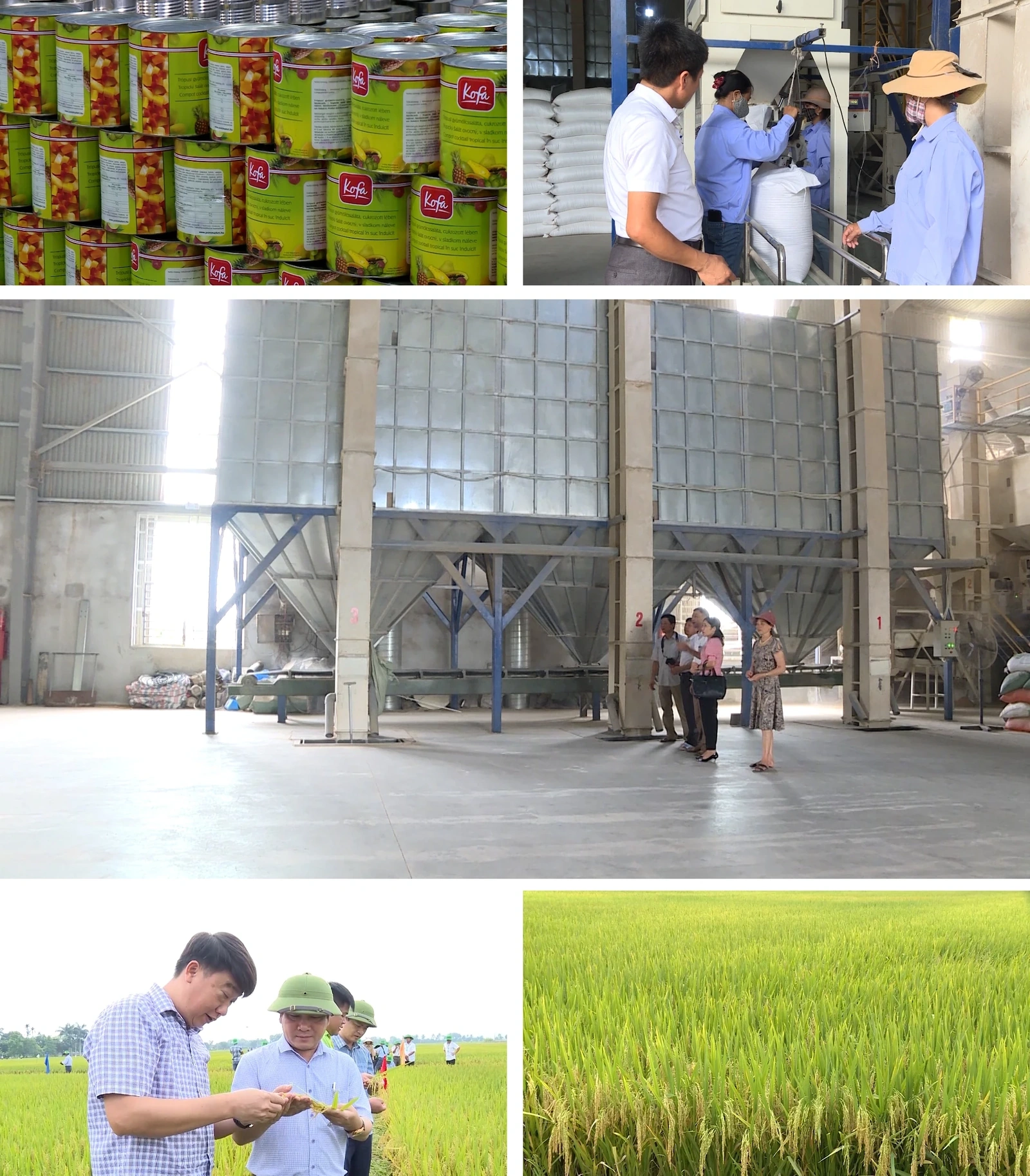 [E - Magazine] Nông nghiệp Thanh Hóa - Từ tiềm năng đến bứt phá