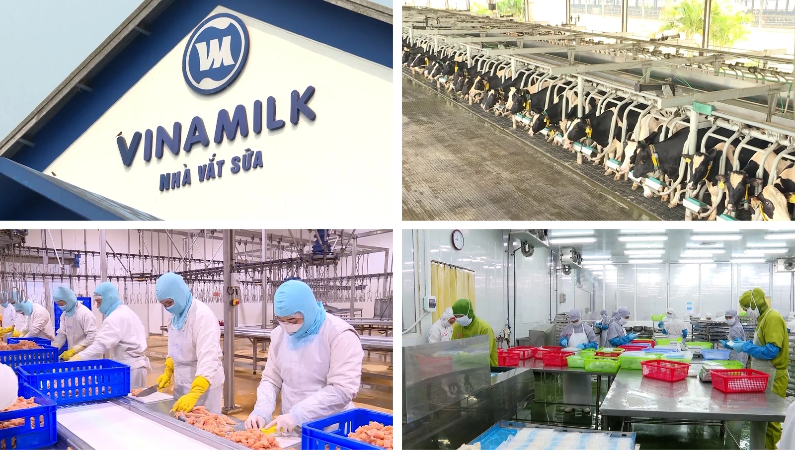 [E - Magazine] Nông nghiệp Thanh Hóa - Từ tiềm năng đến bứt phá