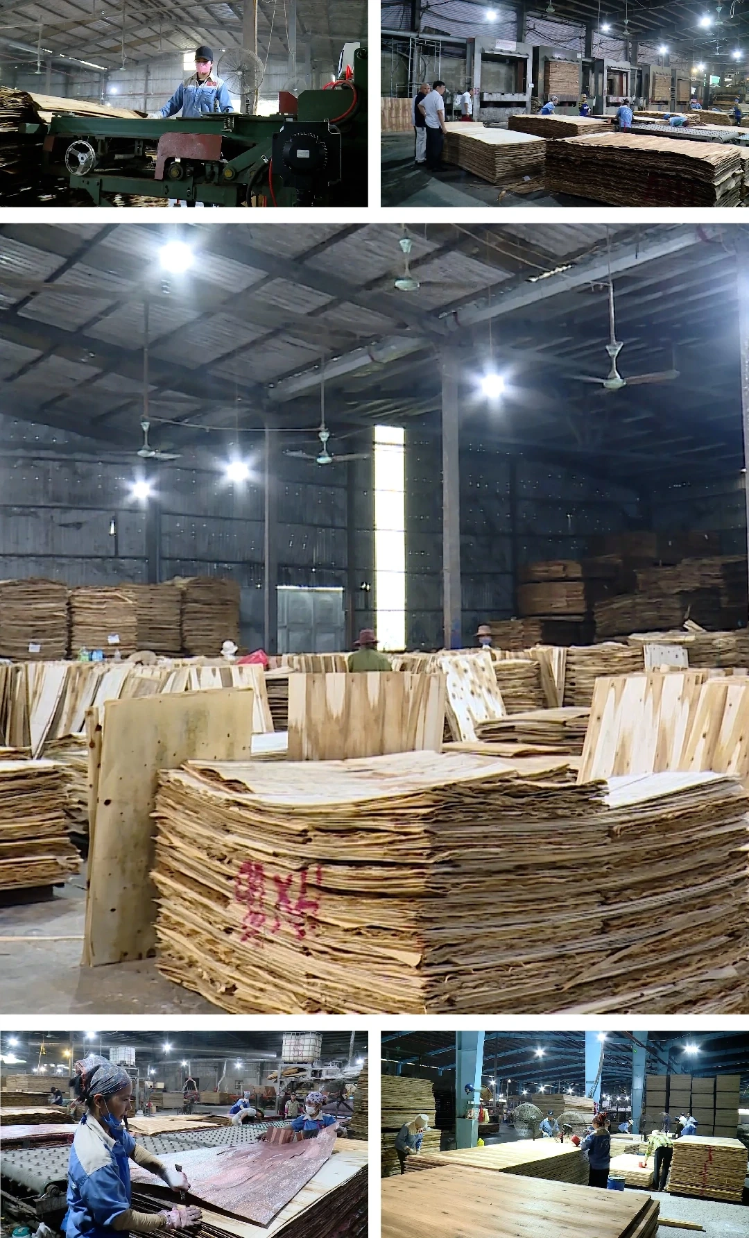 [E - Magazine] Nông nghiệp Thanh Hóa - Từ tiềm năng đến bứt phá